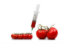 What to Know About GMOs