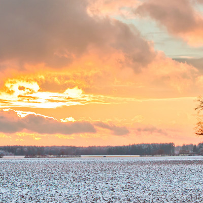 Don’t resolve.  Evolve…